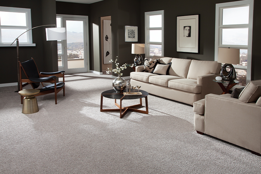 Carpeted living room in Pocatello, ID