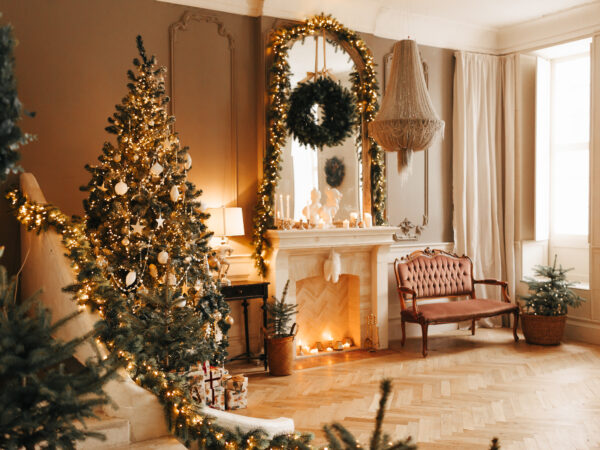 Home ready for the Holidays in Pocatello, ID