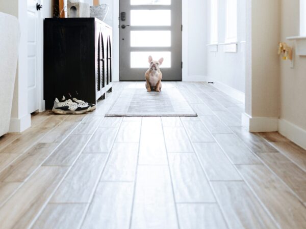 Entryway with engineered wood flooring