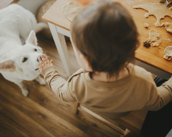 How to Budget for New Luxury Vinyl Plank Flooring