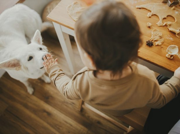 How to Budget for New Luxury Vinyl Plank Flooring