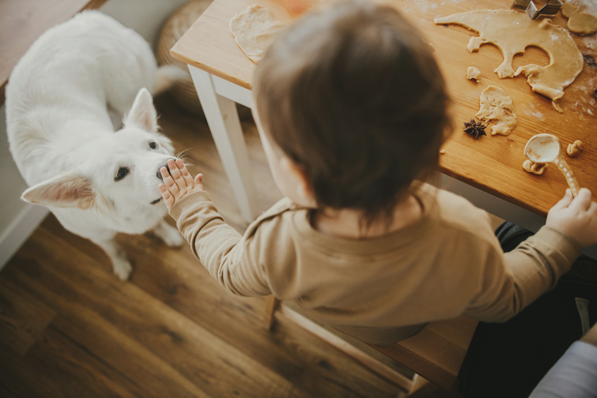 How to Budget for New Luxury Vinyl Plank Flooring