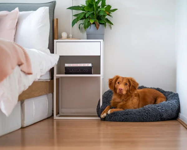 Everyday Habits That Keep Your Floors Looking New in Pocatello